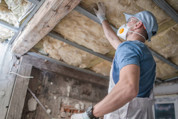 Professional Insulation Contractor in CA